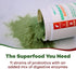 GOBIOTIX Super Greens and Reds Powder, Probiotic Supplement with Digestive Enzymes, Organic Whole Foods (Mango)