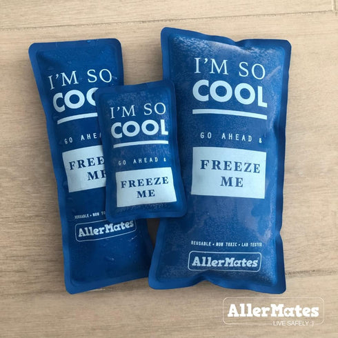 AllerMates Long Lasting Ice Gel Pack - For Children's Medium Medicine Cases