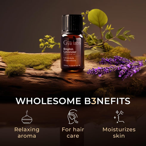 Gya Labs English Lavender Essential Oil for Diffuser - 0.34 Fl Oz - 100% Pure Natural Oil for Skin, Hair & Candle Making