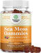 Sea Moss Gummies for Adults and Kids, 30ct | Vegan Immune Support with Burdock, Bladderwrack, and Sea Moss Gel