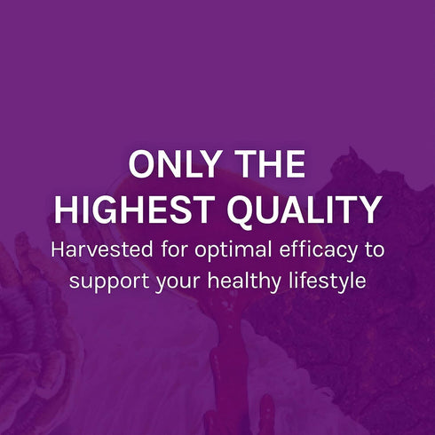 MyCommunity 17 Immune 1 oz (30 Host Defense Extract - Species Blend Mushroom Supplement for Support - Extract