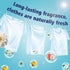 Ikeda scents 3 1 30Counts 10g 10.5 oz 1 PACK Ikeda Laundry Detergent Pods | in Aroma Enhance Forest Scent | Fragrance