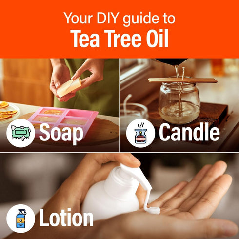H'ana Tea Tree Essential Oil - 100% Pure and Natural Tea Tree Oil for Skin, Hair, Face, and Aromatherapy