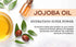 Moisturizing Cuticle & Nail Care Oil – 2.3 Fl Oz Cranberry Scented, Infused with Jojoba Oil, Aloe, Vitamin E