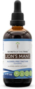 Secrets of the Tribe Lion's Mane Tincture Alcohol-Free Extract, Dried Mushroom (4 fl oz)