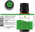 Plant Therapy Lime Steam Distilled Essential Oil, 10 mL, 100% Pure, Therapeutic Grade