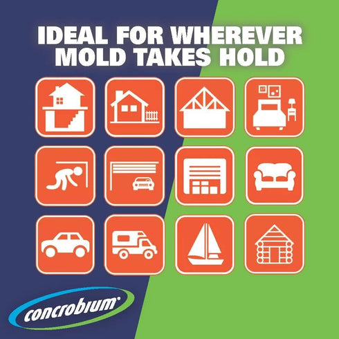 Concrobium Mold Control Aerosol, 14.1 oz, Eliminates & Prevents Mold, EPA Registered, Bleach-Free