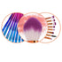 KOLIGHT Pack of 20pcs Cosmetic Eye Shadow Sponge, Eyeliner, Eyebrow, Lip, Nose, Foundation Powder Makeup Brushes Sets