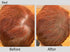 Joan Rivers Great Hair Day Root Touch Up Powder, Fill-in Powder for Thicker, Fuller Hair, Red