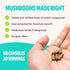 FreshCap Ultimate Mushroom Complex - Lions Mane, Reishi, Cordyceps, Chaga, Turkey Tail, Maitake - 60 Capsules for