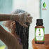 SVA Holy Tulsi Essential Oil – 1/3 Fl Oz – 100% Natural for Diffuser, Hair Care, Skin Care, Aromatherapy, Massage