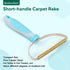 Pet Hair Remover, Retractable Carpet Scraper Rake, Portable Dog Cat Hair Remover for Embedded Fur from Carpet, Stair,