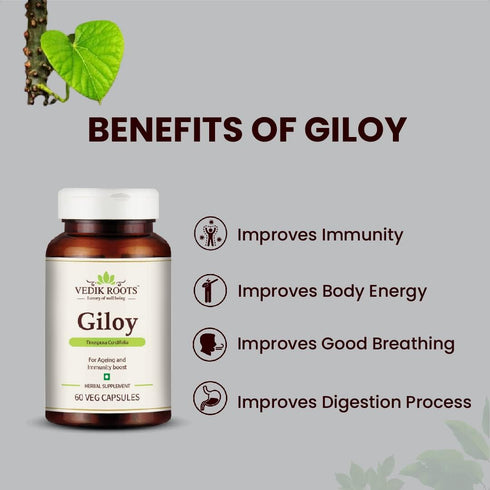 Vedkiroots Giloy Capsules - 60 Tabs, 100% Organic, Antioxidant - Pack of 2