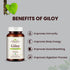 Vedkiroots Giloy Capsules - 60 Tabs, 100% Organic, Antioxidant - Pack of 2