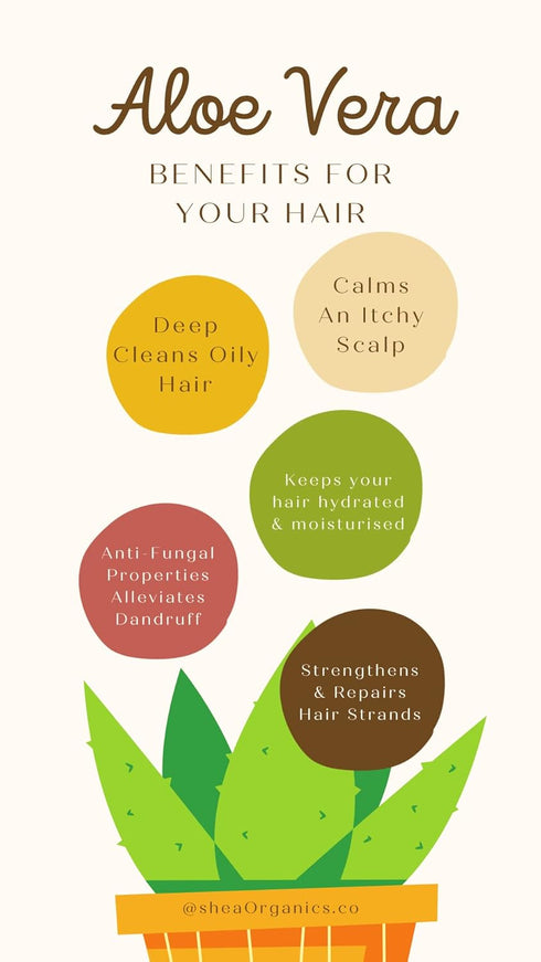 Shea Organics Soothing Scalp Oil – 1 OZ | Gentle Moisturizer for Baby Eczema & Sensitive Skin, Oat Oil & Vitamin E