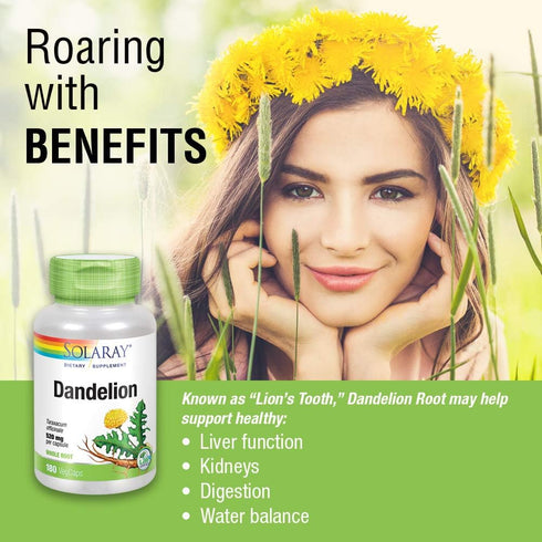 SOLARAY Dandelion Root 1040mg | 180 VegCaps | Healthy Liver, Kidney, Digestion & Water Balance Support
