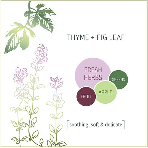 Grab Green Garbage Disposal Freshener and Cleaner Pods - 48 Count, Thyme with Fig Leaf - Removes Odors & Prevents