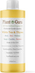 White Tea & Thyme Fragrance Oil 4 fl. oz. for DIY Soap Making, Candles, Bath Bombs, Body Butters, Aromatherapy