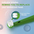 Replacement Brush Heads Compatible with Brusheez Kids' Electric Toothbrush, 5 Pcs White + 5 Pcs Purple