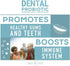 Dental Probiotic, 30 Sugar Free Chewable Tablets, Mint Flavor, Vegan Supplements for Oral Health