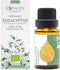 Essences Bulgaria Organic Eucalyptus Essential Oil 0.51 Fl Oz 15ml, 100% Pure Natural for Aromatherapy and Humidifier