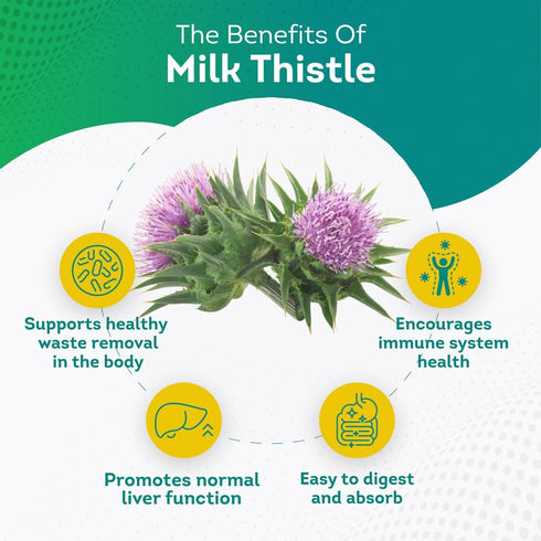 PurePremium Milk Thistle Supplement with Silymarin Extract, 450MG Complex Liver Support, 120 Tablets