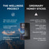 Pack 30 The Wellness Project Himalayan Shilajit Honey Sticks Pro with Saffron, Forest Honey & Fenugreek extract |