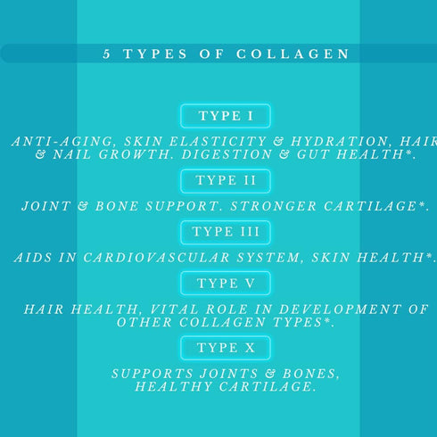 Multi Collagen Pills Plus + 180 Capsules (Types I, II, III, V & X) + Absorption Enhancer (3 Months Supply) - Non-GMO, Collagen Supplements to Support Hair, Skin, Nails, Joints, & Gut Health