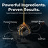 Pack 30 The Wellness Project Himalayan Shilajit Honey Sticks Pro with Saffron, Forest Honey & Fenugreek extract |