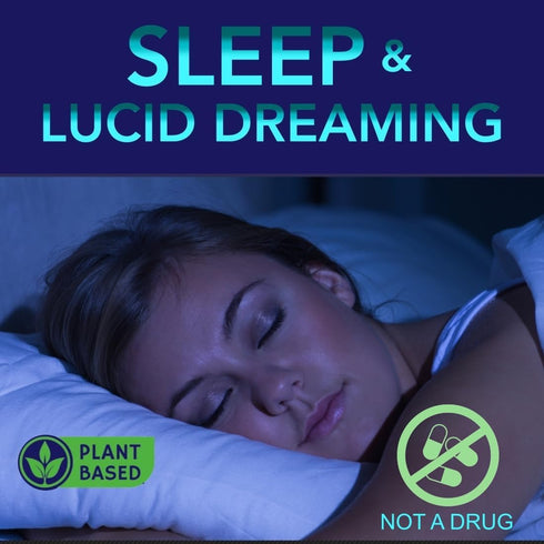 Lucid Dreams Deep Sleep - Mugwort Herb, 5 HTP, Mucuna Pruriens, Choline Supplements, 60 ct