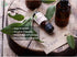 Essential Oil Set: Vanilla, Pineapple, Peach, Clary Sage, 4x10ML Organic 100% Pure Plant Oil for Diffuser, Spa, Massage