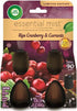Air Wick Essential Mist, Twin Refill, Ripe Cranberry & Currants, 2 Refills