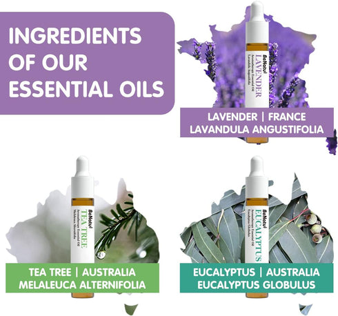 Benatu Essential Oils Set (Tea Tree, Lavender, Eucalyptus) - Organic Relax Scent Aromatherapy Gift for Skin Care,