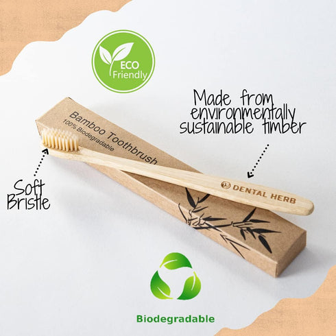 Tonic Traveler Mouthwash Minis (12 Pack) + Bamboo Toothbrush - Natural Alcohol-Free Mouthwash for Gum Health & Bad