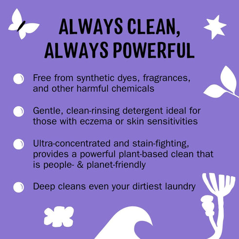 Molly's Suds Liquid Laundry Detergent | Natural Soap for Sensitive Skin | 2x Concentrated, High Efficiency (HE) |