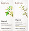 Neroli Essential Oil for Diffuser & Myrrh Oil for Skin Set -