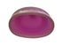 Purple Faceted Drink Cup Pocketbac Holder for Hand Sanitizer