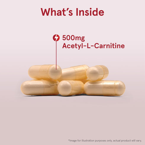 Jarrow Formulas Acetyl L-Carnitine 500 mg, Dietary Supplement for Brain Health & Antioxidants, 60 Veggie Capsules