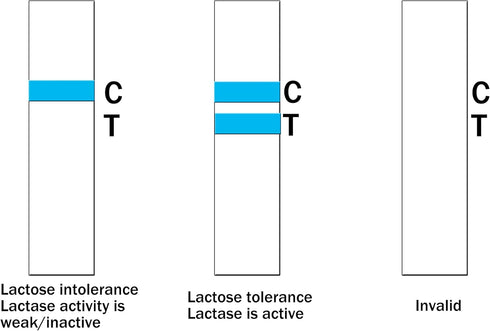 WEEGEEKS 2Pcs Lactose Intolerance Test Strips at Home Lactase Activity Test Food Sensitivity Test