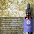 Pure Body Naturals Facial Serum - Hyaluronic Acid, Retinol, Vitamin C, and Vitamin B3 Serum Gift Set for Women