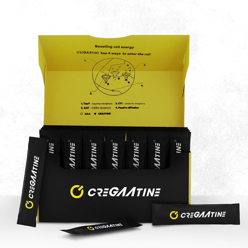 Micronized Creatine Monohydrate + GAA | 60 Sachets, 30 Servings | Increase Strength, No Water Retention | Boosts Memory