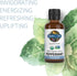 Garden of Life Essential Oil, Peppermint 0.5 fl oz (15 mL), 100% USDA Organic & Pure, Undiluted & Non-GMO - for Diffuser, Aromatherapy, Meditation - Energizing, Invigorating, Refreshing, Uplifting