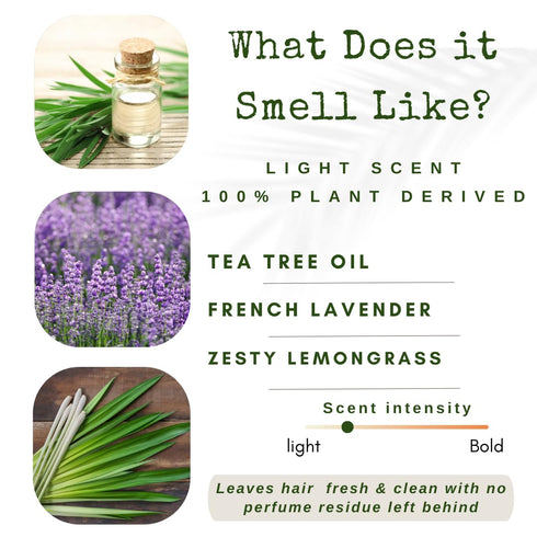 Shampoo Bar and Conditioner with Travel Tins, Lemongrass, Lavender, Tea Tree Oil, 2-pk for Oily Hair
