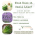 Shampoo Bar and Conditioner with Travel Tins, Lemongrass, Lavender, Tea Tree Oil, 2-pk for Oily Hair