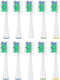 Replacement Brush Heads for Waterpik Sensonic Complete Care Toothbrush, Compact White, 10 Count with Covers