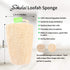 Natural Loofah Sponge, Organic Exfoliating Body Scrubber for Shower and Daily Skin Care