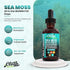 Clean Nutraceuticals Sea Moss Liquid Drops with Black Seed Oil, Ashwagandha, Burdock Root & Bladderwrack - Organic