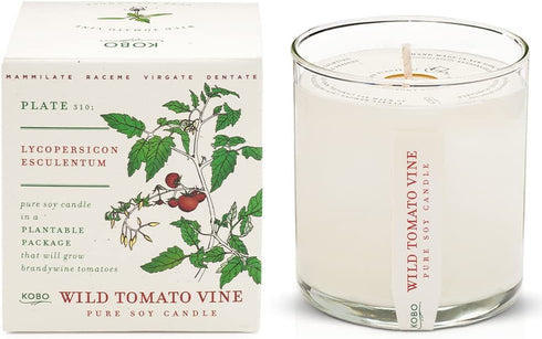 KOBO Wild Tomato Vine Candle, 9 oz | Plantable Box Collection | 100% Pure Soy Wax | Hand-Poured in USA