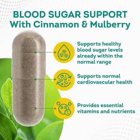 PurePremium Blood Sugar Support Supplement - Cinnamon Capsules with Bitter Melon, Mulberry, Zinc, Biotin, Vitamin C,