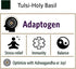 ORGANIC INDIA Tulsi Herbal Supplement - Holy Basil, Immune Support, Vegan, Gluten-Free, 180 Capsules